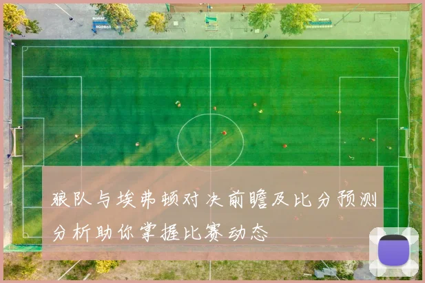 狼队与埃弗顿对决前瞻及比分预测分析助你掌握比赛动态