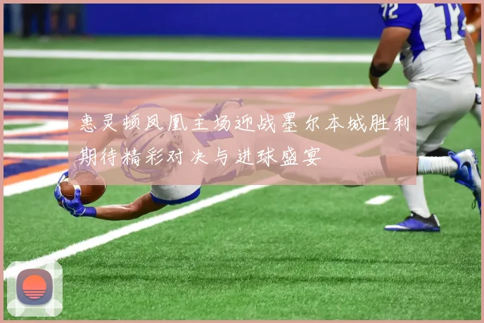 惠灵顿凤凰主场迎战墨尔本城胜利期待精彩对决与进球盛宴