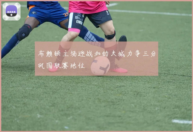 布赖顿主场迎战加的夫城力争三分巩固联赛地位