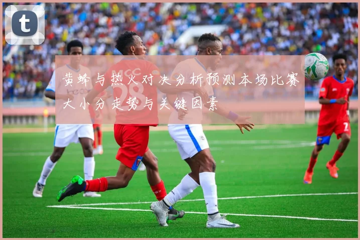 黄蜂与热火对决分析预测本场比赛大小分走势与关键因素